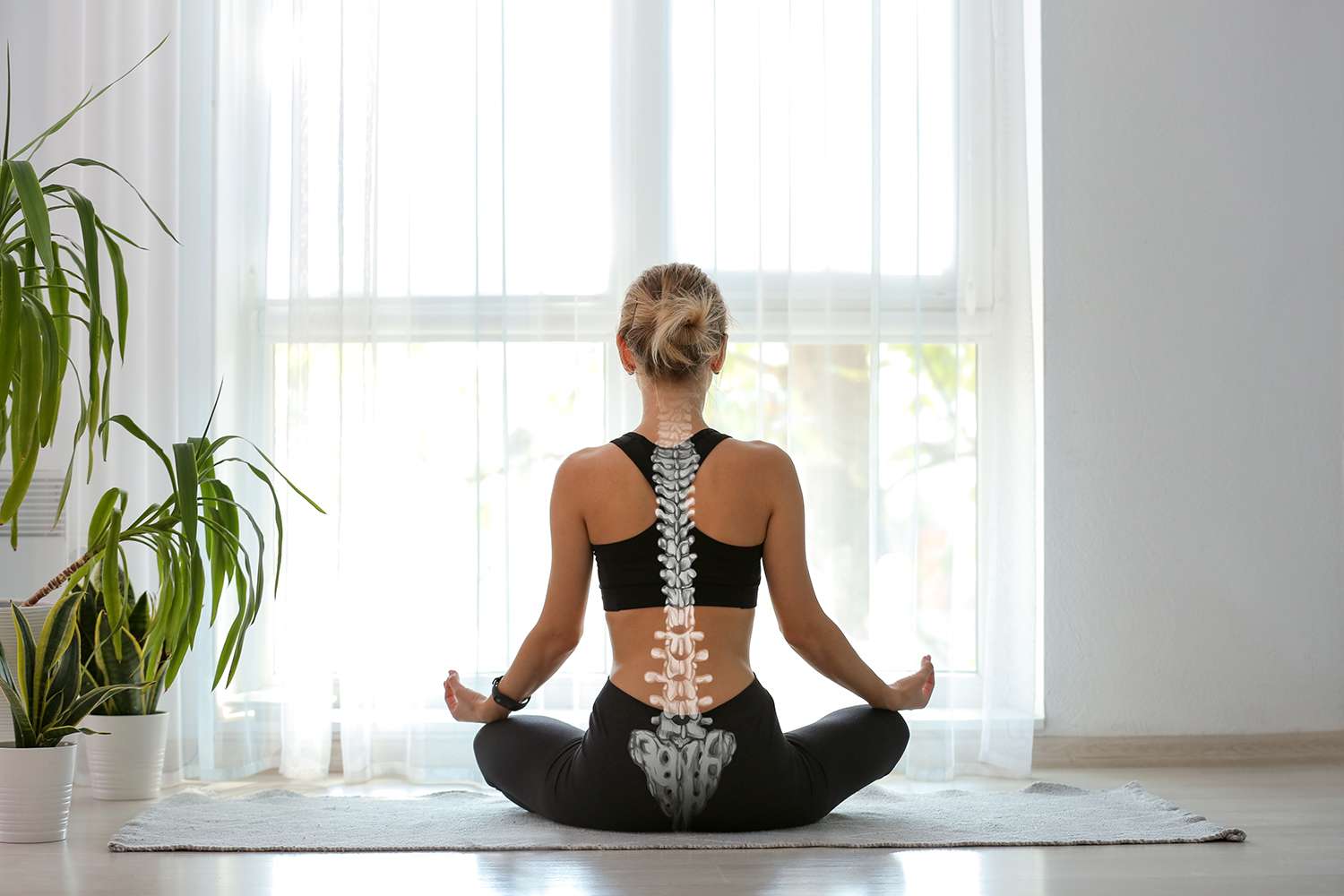 elemental chiropractic spinal alignment